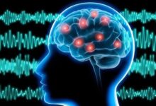 چین از نخستین سامانه MRI جهان برای خواندن شبکههای مغزی رونمایی کرد چین از نخستین سامانه MRI جهان برای خواندن شبکههای مغزی رونمایی کرد