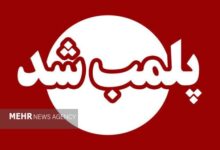 ۷ قصابی غیرمجاز در جوانرود پلمب شد