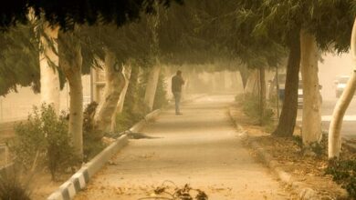 وزش باد همراه با خیزش خاک در تهران وزش باد همراه با خیزش خاک در تهران