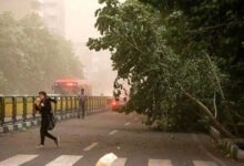 کاهش دما در برخی مناطق؛ احتمال سرمازدگی محصولات در مناطق سردسیر